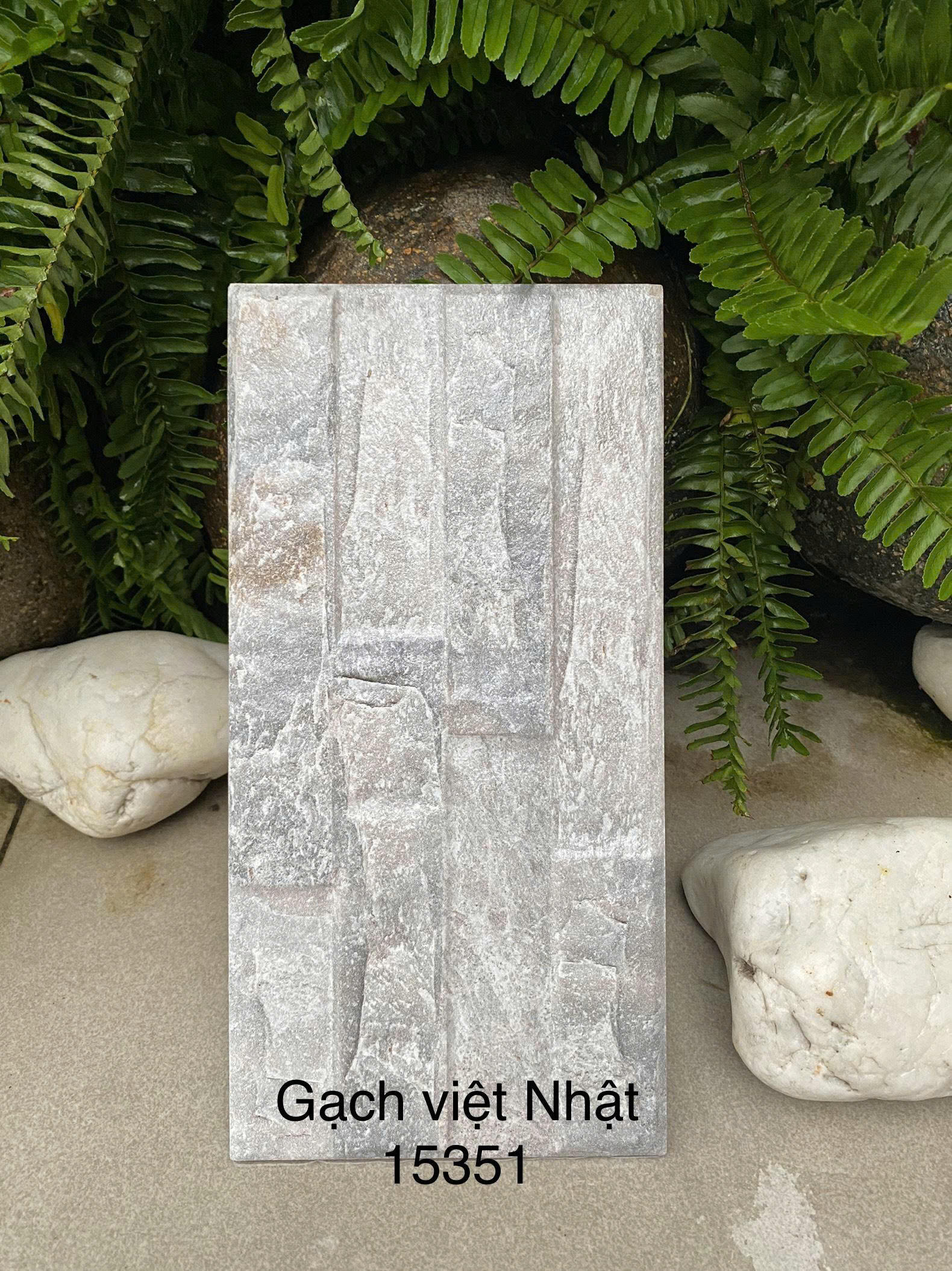 Gạch trang trí 15x30cm -4485